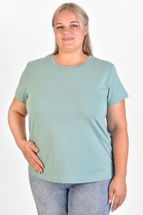 �������� � 501