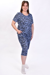 ������ � 079�