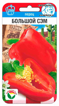 ����� ������� ���