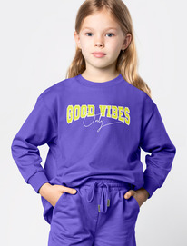 �����  Vilatte ������� �� ������������ ������ � ������� F49.406 �������