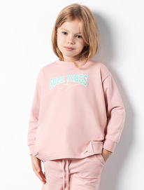 �����  Vilatte ������� �� ������������ ������ � ������� F49.406 ��������