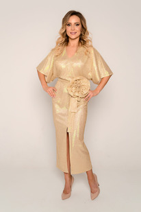 ������ DuSans 0401 ������� ������