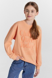 13.01 �������� MARK FORMELLE, 1093782 24-28325�-0 ������ +������