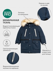 13.01 Acoola ������ ������� ��� ��������� Corrino 20120770009 �����-�����