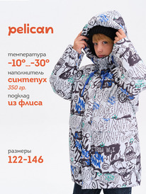 13.01 Pelican ������ ��� ��������� BZXZ3377/1 �����