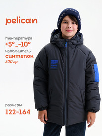 13.01 Pelican ������ ��� ��������� BZBL3377/2 �����-�����