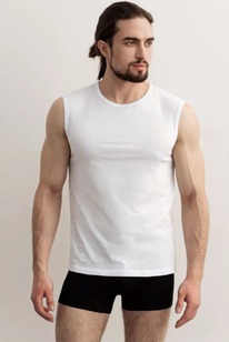 ����� ALMANDO MELADO 1900M-10051.1L-921 �����|188-