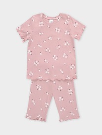 Crockid ������ ��� ��� � 1632/�������� 1509 �061