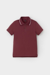 Crockid ������� � ������� ���� ��� ��� �� 302597-1/������-���������� �536