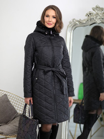 ������ DizzyWay 24327 ������