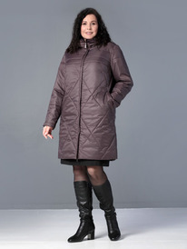 ������ DizzyWay 25309 ������������