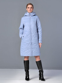 ������ DizzyWay 25309 ����������