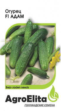 ������ ���� F1  (���������)