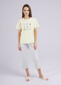 09.04  Clever ������ ������� CLE LP24-1102/2 ��.�������/��������