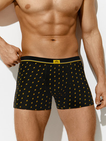 ������� ������� OmU 1234-24B Style ������� ������� � �������� ��������, CO