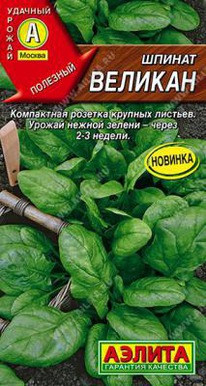 ������ �������