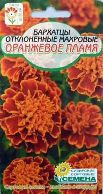 ��������� ����� ��������