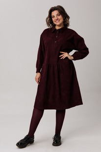 ������ ANELLI 1730 �������� �����