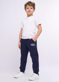 Clever ����� ������� ��� �������� CLE 905821-01� �.�����