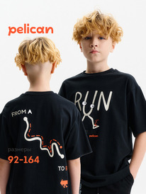 Pelican �������� ��� ��������� BFT3388/6 ������
