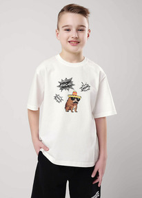 Clever �������� ������� ��� �������� CLE 857066��_� ��������