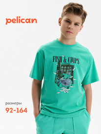 Pelican �������� ��� ��������� BFT3389/4 ������