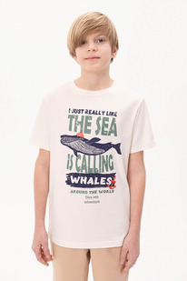 Pelican �������� ��� ��������� BFT3371 ��������