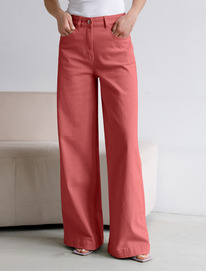 Vilatte ������ �� ������ � ��������� D54.137 �����-����������