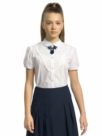 24.03 Pelican ������ ��� ������� GWCT8111 �����