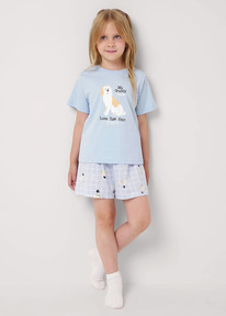 24.03 Clever ������ ������� CLE 909527��_� �������