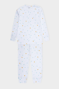 24.03 Crockid ������ �/��� �� �� 1552/��������� �� �����