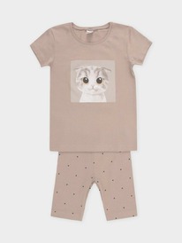 24.03 Crockid ������ ��� ��� � 1647-1/���.�����