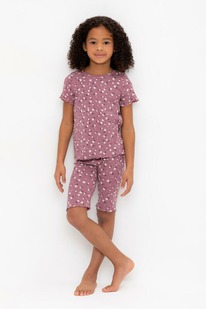 24.03 Crockid ������ ��� � 1632/������ �������,��������� �����