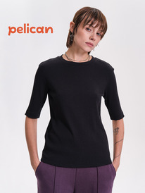 09.04  Pelican �������� ������� DFT6944 ������