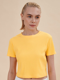 09.04  Pelican �������� (������"���") ������� DFTY6933 ������