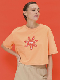 09.04  Pelican �������� (������"���") ������� DFTY6922U ���������