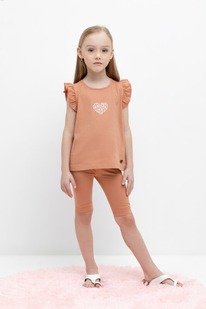 24.03 Crockid ������ ��� ��� �� 4036/��������� ������ �485