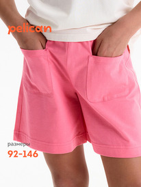 24.03 Pelican ����� ��� ������� GFH3369//3U �������