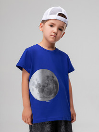 22.04 Bodo �������� 4-439MU 4-439MU �����