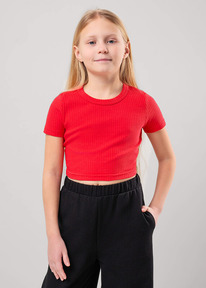 12.04  Clever �������� ������� ��� ������� CLE 856874�� �������