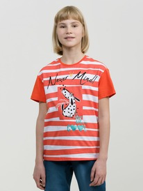 12.04  Pelican �������� ��� ������� GFT4270/2 �������