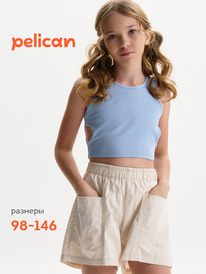 12.04  Pelican ����� (������ "���") ��� ������� GFVY3334 �������