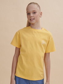 12.04  Pelican �������� ��� ������� GFT3352/1 ������