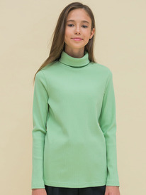 24.03 Pelican ������� ��� ������� GFJS3335 ���������