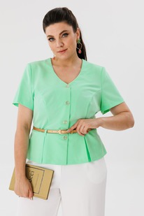 ����� ANELLI 690.1 ����