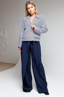 ������ AmberA 2050 �����