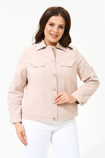 ������ IVA 1565 �������