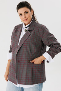 ����� ANELLI 1290 �����