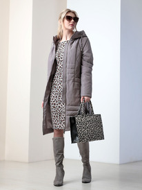 ���� DizzyWay 26102 ����-����������