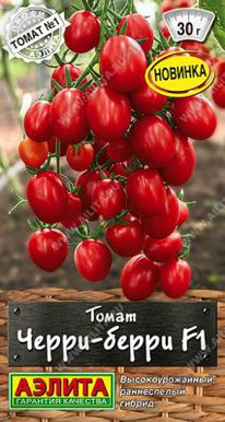 �����-����� F1